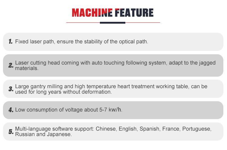 400W Die Board Laser Cutting Machine(图4)